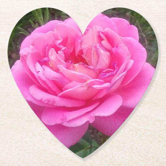 Romantic Pink Rose "Leonardo Da Vinci" Kartonnen Onderzetters (Voorkant)