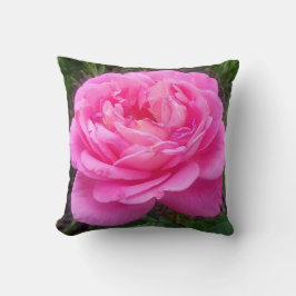 Romantic Pink Rose "Leonardo Da Vinci" Kussen