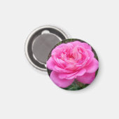 Romantic Pink Rose "Leonardo Da Vinci" Magneet (Voorkant / Achterkant)