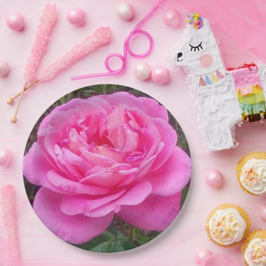 Romantic Pink Rose "Leonardo Da Vinci" Papieren Bordje (Feest)