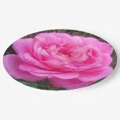 Romantic Pink Rose "Leonardo Da Vinci" Papieren Bordje (Gekanteld)