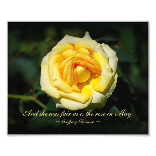 Romantic Quote Yellow English Roos Foto Afdruk (Voorkant)