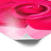 Romantic Red Pink Rose Foto Afdruk (Hoek)