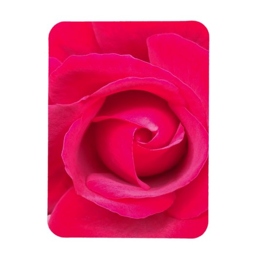 Romantic Red Pink Rose Magneet (Verticaal)
