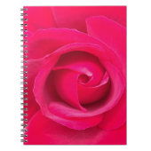 Romantic Red Pink Rose Notitieboek (Voorkant)