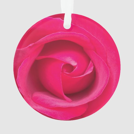 Romantic Red Pink Rose Ornament (achterkant)