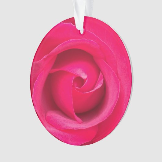 Romantic Red Pink Rose Ornament (voorkant)