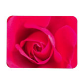 Romantic Red Pink Rose v2 Magneet (Horizontaal)