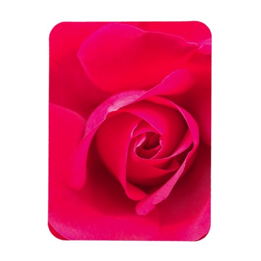 Romantic Red Pink Rose v2 Magneet (Verticaal)