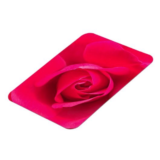 Romantic Red Pink Rose v2 Magneet (Linkerzijde)
