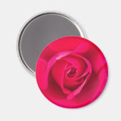Romantic Red Pink Rose v2 Magneet (Voorkant / Achterkant)