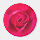 Romantic Red Pink Rose v2 Magneet (Voorkant)