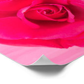 Romantic Red Pink Rose v2 Poster (Hoek)