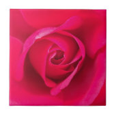 Romantic Red Pink Rose v2 Tegeltje (Voorkant)