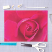 Romantic Red Pink Rose v2 Tissuepapier (Craft)