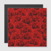 Romantic Red Rose (Voorkant / Achterkant)