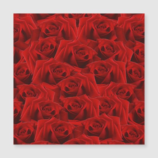 Romantic Red Rose (Voorkant)