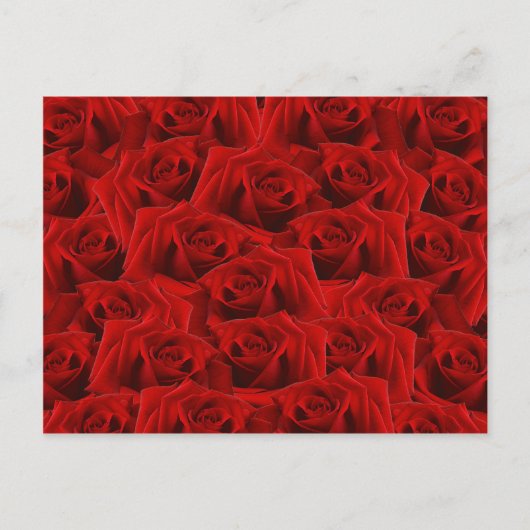 Romantic Red Rose Briefkaart (Voorkant)