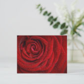 Romantic Red Rose Briefkaart (Staand voorkant)