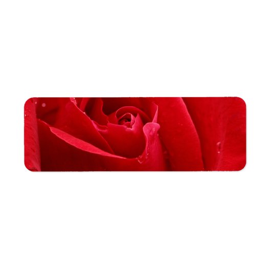 Romantic Red Rose Etiket (Voorkant)