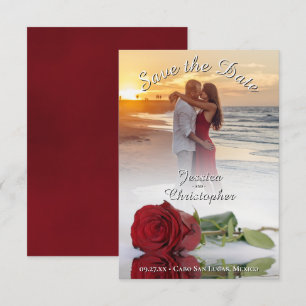 Romantic Red Rose Foto Bekleding White Text Wedden Save The Date