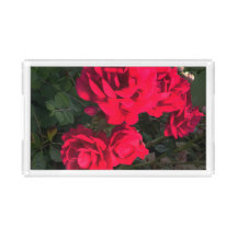 Romantic Red Rose Garden Rosery
