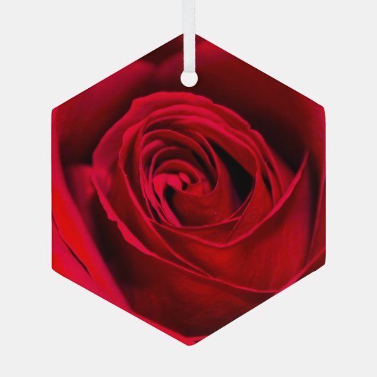 Romantic Red Rose in volle bloei Glas Ornament (Achterkant)