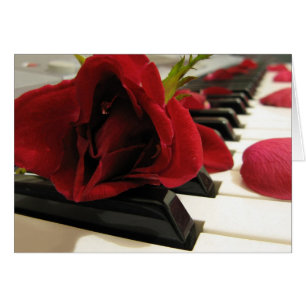 Romantic Red Rose Love