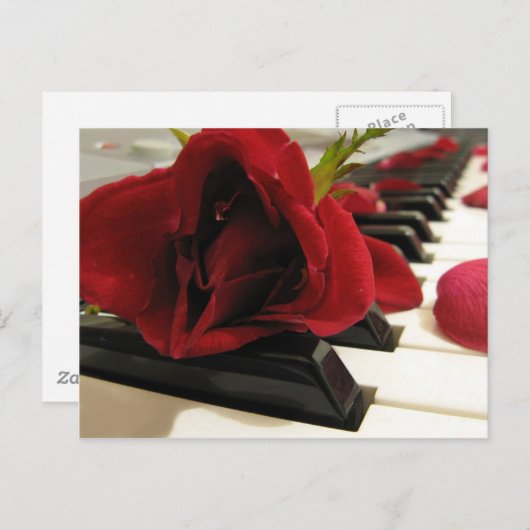 Romantic Red Rose Love Briefkaart (Voorkant / Achterkant)
