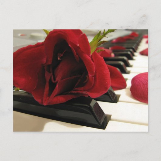 Romantic Red Rose Love Briefkaart (Voorkant)