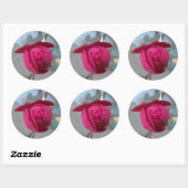 Romantic Red Rose Ronde Sticker (Vel)