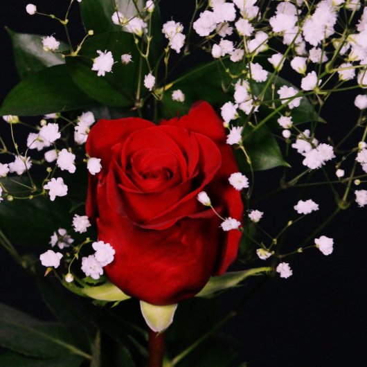 Romantic Red Rose Valentijnse Kaart