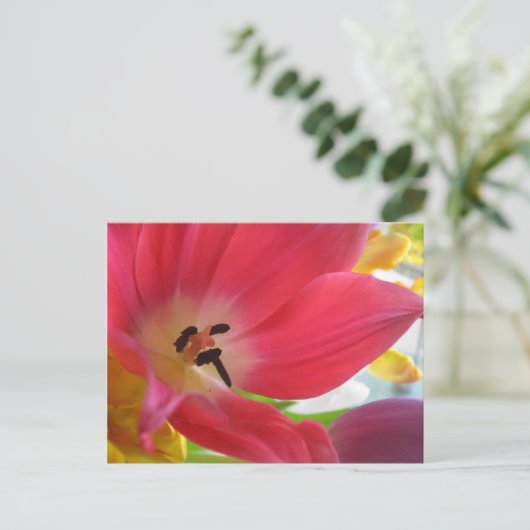 Romantic Red Tulip Briefkaart (Staand voorkant)