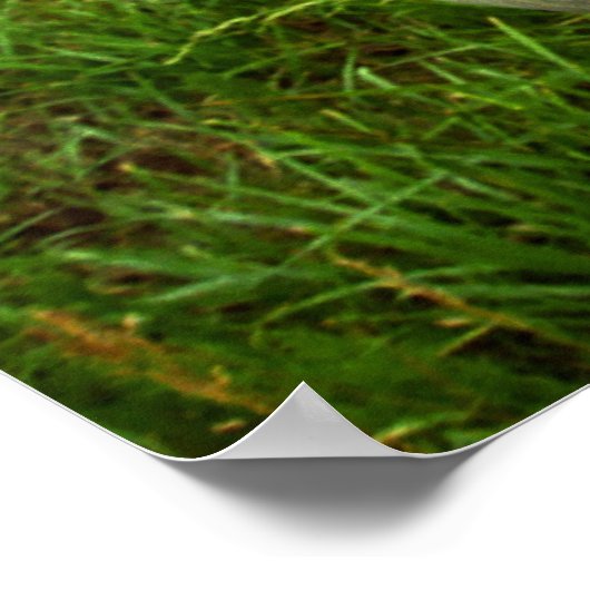 Romantic Road Aloha Poster (Hoek)