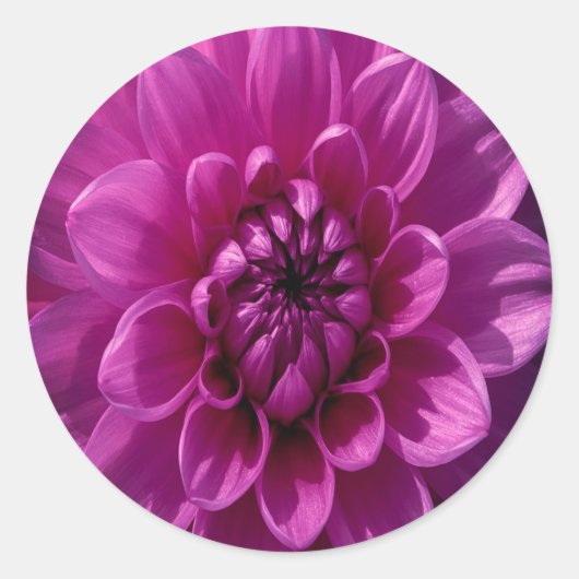 Romantic Rosy Floral Ronde Sticker (Voorkant)