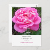 Romantic Roze bruiloft Bewaar de datum Briefkaart (Voorkant / Achterkant)