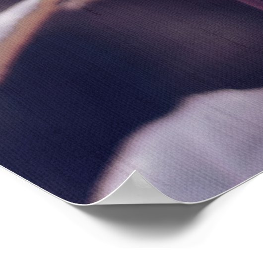 Romantic Roze Buds in Sunset Bokeh Backlight Poster (Hoek)