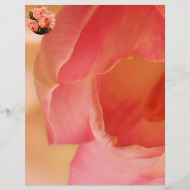 Romantic Roze Butterfly Tulip (Voorkant)
