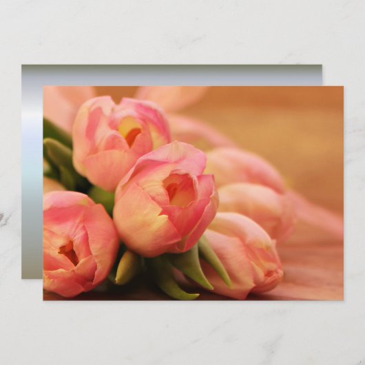 Romantic Roze Butterfly Tulip (Voorkant / Achterkant)