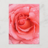 Romantic Roze druppels water Briefkaart (Voorkant)