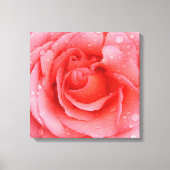 Romantic Roze druppels water Canvas Afdruk (Voorkant)