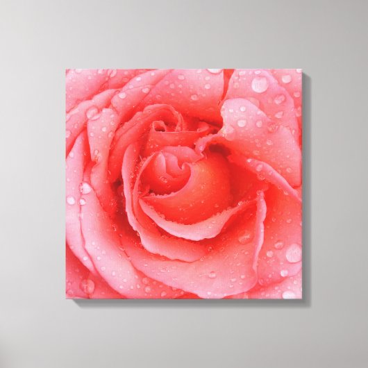 Romantic Roze druppels water Canvas Afdruk (Voorkant)