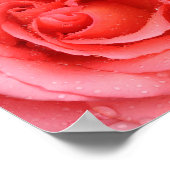 Romantic Roze druppels water Poster (Hoek)