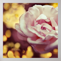Romantic Roze en Gele Bokeh