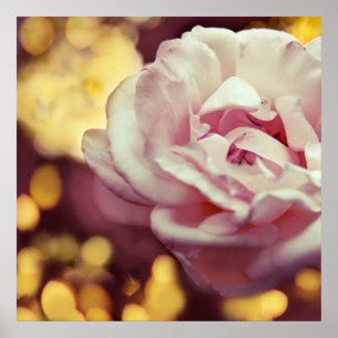 Romantic Roze en Gele Bokeh Poster