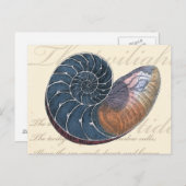 Romantic Seashell Briefkaart (Voorkant / Achterkant)