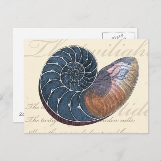 Romantic Seashell Briefkaart (Voorkant / Achterkant)