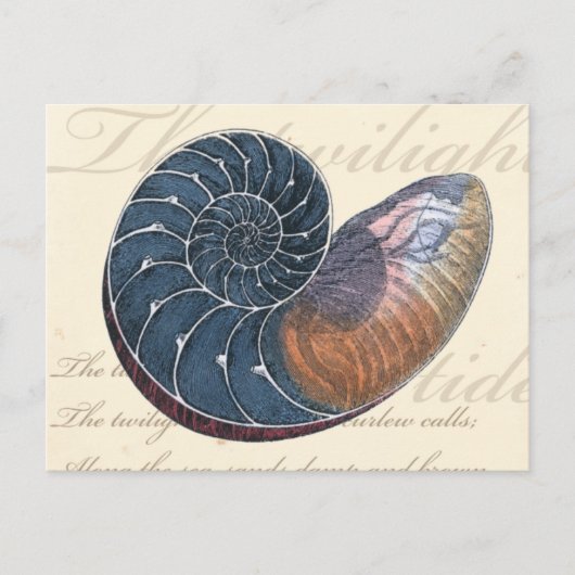 Romantic Seashell Briefkaart (Voorkant)