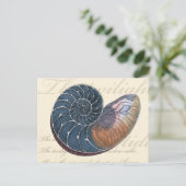 Romantic Seashell Briefkaart (Staand voorkant)