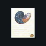 Romantic Seashell Canvas Afdruk<br><div class="desc">Woon je ver van het strand? Geen probleem! Haal dit romantische schilderij, zodat je jezelf kunt afbeeldingen op een vreedzaam strand op een zonnige dag. Dit kunstwerk romantiseert het zee en de kleine golven die je zullen laten vrezen voor een bezoek aan het strand. Haal dit omgevormde paneel op uw...</div>
